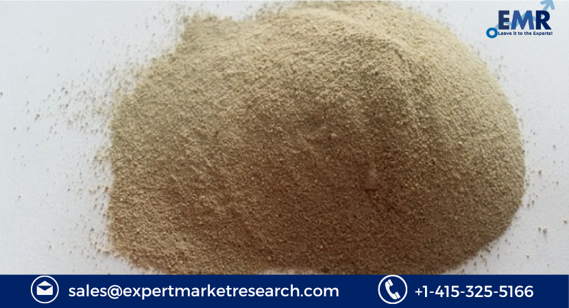 Bleaching Clay Market Size to Grow at a CAGR of 6.80% in the Forecast Period of 2023-2028