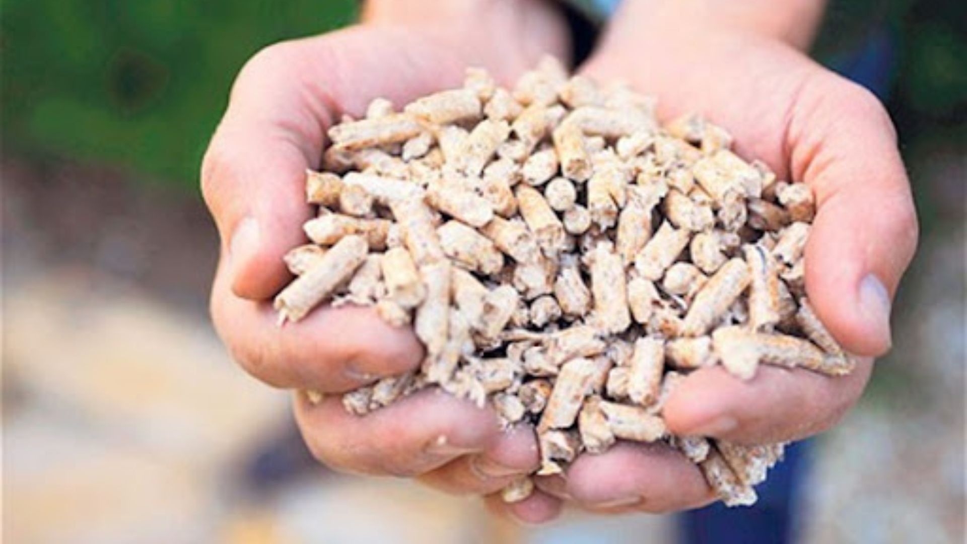 Wood Pellets Market Outlook: Anticipated 5.5% CAGR from 2022 to 2030
