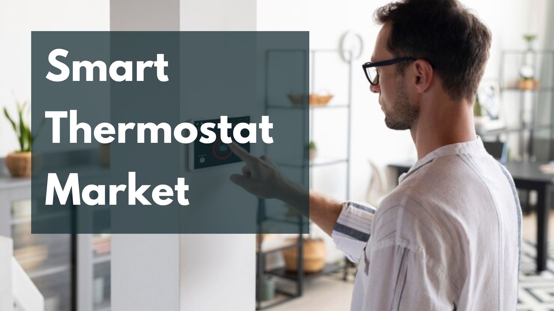 Smart Thermostat Market Products: Connected, Standalone, and Learning Innovations